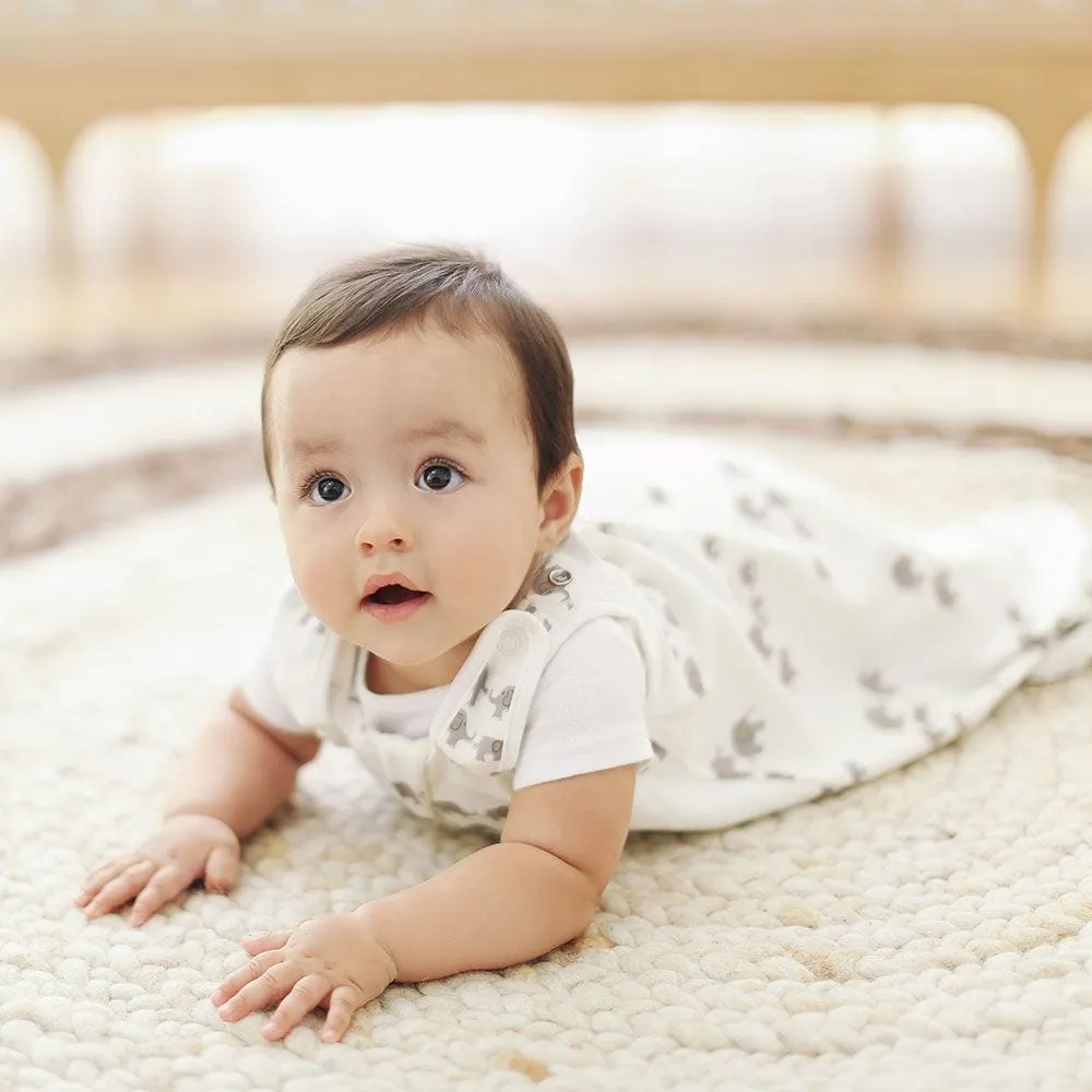 Ergobaby Classic Sleep Bag (0-6 S) TOG 2.5 - Elephant